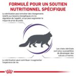 Royal Canin Neutered Satiety Balance – Image 3
