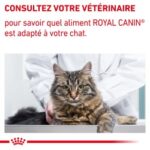 Royal Canin Neutered Satiety Balance – Image 8