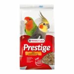 Grandes Perruches Prestige