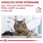 Royal Canin Veterinary Diet Diabetic – Image 8