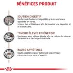 Royal Canin Veterinary Diet Gastro Intestinal – Image 5