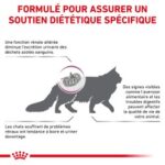 Royal Canin Veterinary Diet Renal Select – Image 6