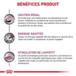 Royal Canin Veterinary Diet Renal Select – Image 7