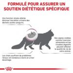 Royal Canin Veterinary Diet Renal Special – Image 4