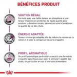 Royal Canin Veterinary Diet Renal Special – Image 6