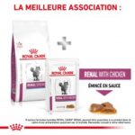 Royal Canin Veterinary Diet Renal Special – Image 7