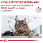 Royal Canin Veterinary Diet Renal – Image 4