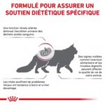 Royal Canin Veterinary Diet Renal – Image 7