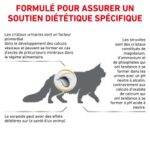 Royal Canin Veterinary Diet Urinary S/O Moderate Calorie – Image 3