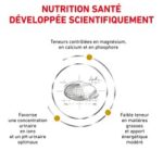 Royal Canin Veterinary Diet Urinary S/O Moderate Calorie – Image 4