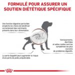 Royal Canin Veterinary Diet Gastro Intestinal – Image 3
