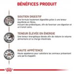 Royal Canin Veterinary Diet Gastro Intestinal – Image 5