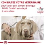 Royal Canin Veterinary Diet Hypoallergenic – Image 8
