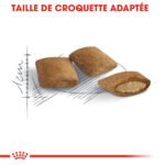Royal Canin Ageing 12 + – Image 3