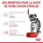 Royal Canin Kitten Sterilised – Image 2