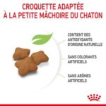 Royal Canin Kitten Sterilised – Image 3