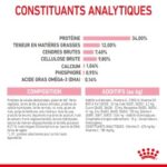 Royal Canin Kitten Sterilised – Image 4