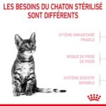 Royal Canin Kitten Sterilised – Image 6
