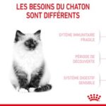 Royal Canin Kitten – Image 3