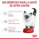 Royal Canin Kitten – Image 4