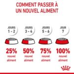 Royal Canin Kitten – Image 6