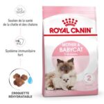 Royal Canin Mother and Babycat – Image 2