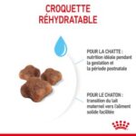 Royal Canin Mother and Babycat – Image 5