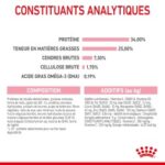 Royal Canin Mother and Babycat – Image 6