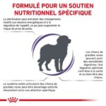 Royal Canin Neutered Adult Large Dog – Image 3