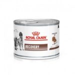 Royal Canin Veterinary Diet Recovery