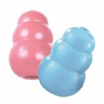 Kong Puppy
