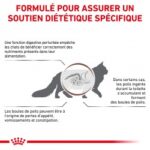 Royal Canin Veterinary Diet Gastro Intestinal Hairball – Image 3