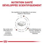 Royal Canin Veterinary Diet Gastro Intestinal Hairball – Image 2