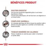 Royal Canin Veterinary Diet Gastro Intestinal Hairball – Image 4