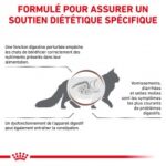 Royal Canin Veterinary Diet Gastro Intestinal Fibre Response – Image 3