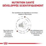 Royal Canin Veterinary Diet Gastro Intestinal Fibre Response – Image 4