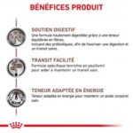 Royal Canin Veterinary Diet Gastro Intestinal Fibre Response – Image 5