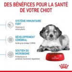 Royal Canin Dog PUPPY MEDIUM – Image 4