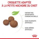 Royal Canin Dog PUPPY MEDIUM – Image 5