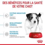 Royal Canin Dog PUPPY MINI – Image 4