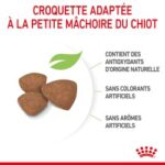 Royal Canin Dog PUPPY MINI – Image 5