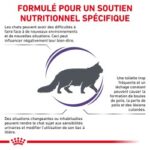 Royal Canin Cat Calm – Image 2