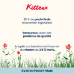 Almo Nature HOLISTIC Kitten 2Kg – Image 4
