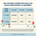 Almo Nature HOLISTIC Kitten 2Kg – Image 3