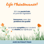 Almo Nature Life Maintenance avec Poulet Frais 2Kg – Image 2